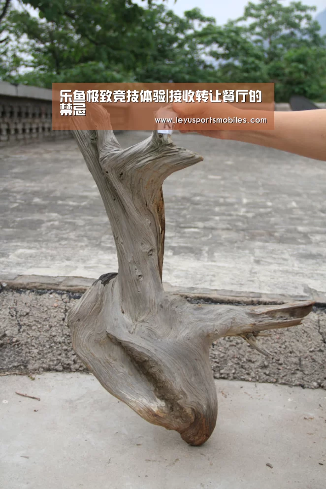 乐鱼极致竞技体验|接收转让餐厅的禁忌(图2) 乐鱼体育App下载