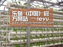 环境展示六