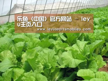种植基地一