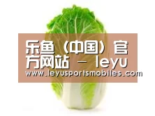 产品名称一(图1)
