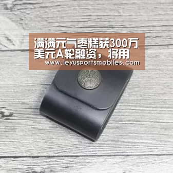 满满元气枣糕获300万美元A轮融资,将用于提升顾客体验及拓店‘乐鱼极致竞技体验’(图4) 乐鱼官方网站地址