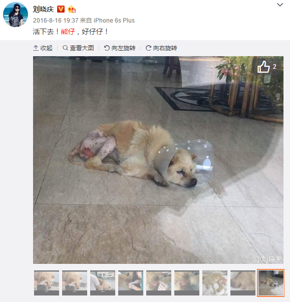 乐鱼平台最新版本|
【官】嘉善干窑【润泽华庭】售楼处热线:400(图3) 乐鱼极致竞技体验
