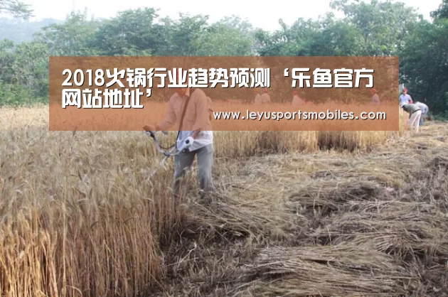 2018火锅行业趋势预测‘乐鱼官方网站地址’(图2) 乐鱼极致竞技体验