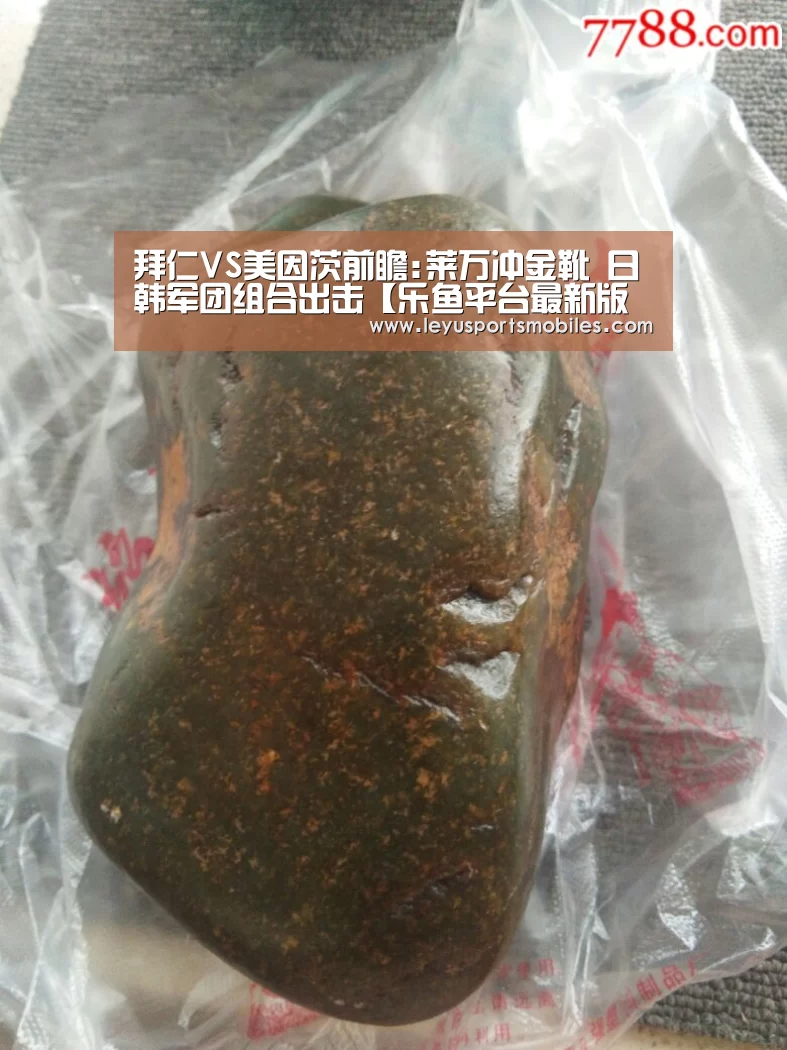 乐鱼极致竞技体验