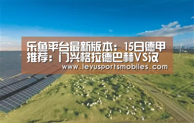 乐鱼平台最新版本:15日德甲推荐:门兴格拉德巴赫VS汉堡(图4) 乐鱼官方网站地址
