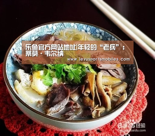 乐鱼官方网站地址|年轻的“老兵”:蒂莫·韦尔纳(图1) 乐鱼官方网站地址