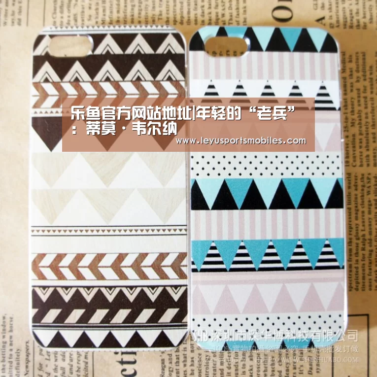 乐鱼官方网站地址|年轻的“老兵”:蒂莫·韦尔纳(图2) 乐鱼体育App下载