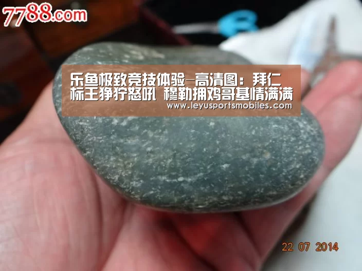 乐鱼平台最新版本