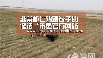 乐鱼体育App下载