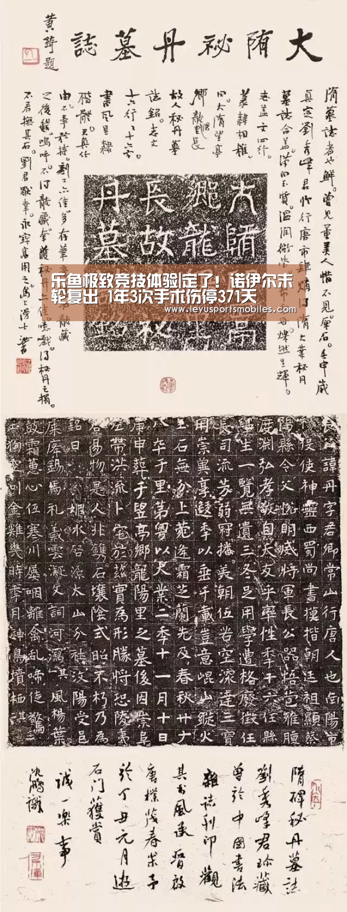 乐鱼体育App下载
